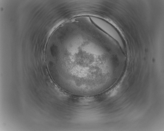 X0000075831145200609221633