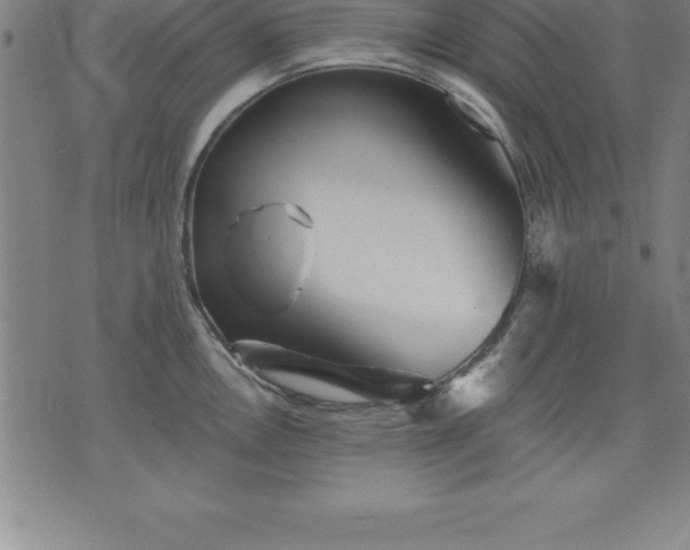 X0000075831146200609221633