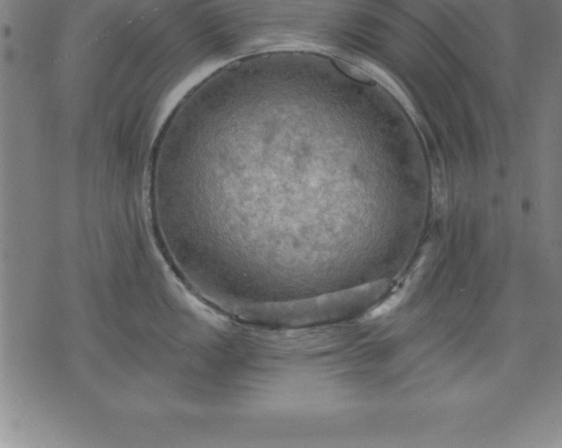 X0000075831149200609221633