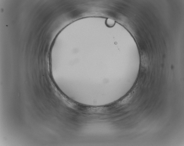 X0000075831150200609221633