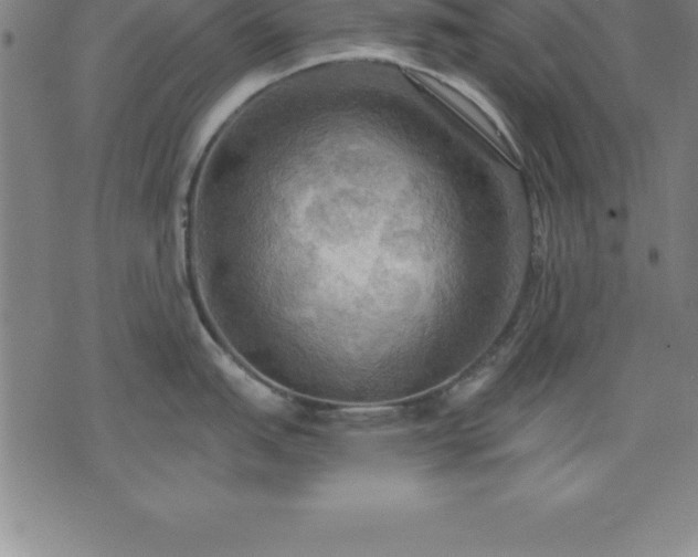 X0000075831151200609221633