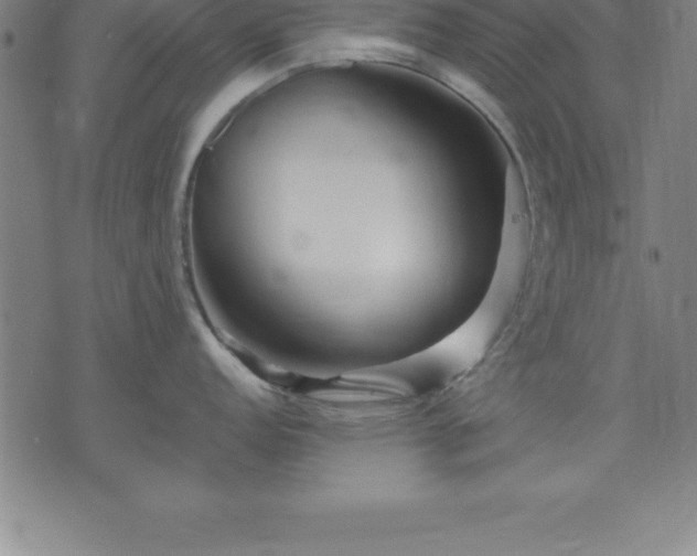 X0000075831152200609221633