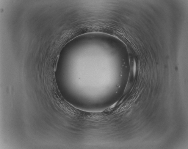 X0000075831153200609221633