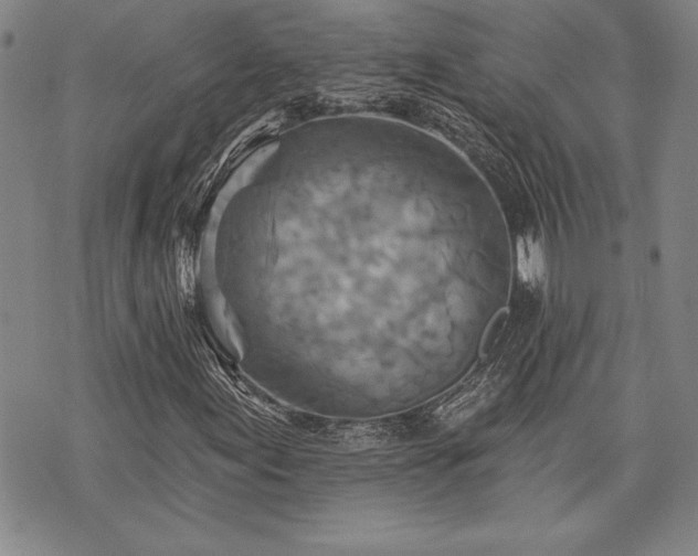 X0000075831155200609221633