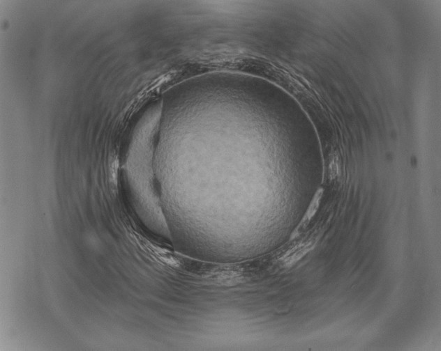 X0000075831156200609221633