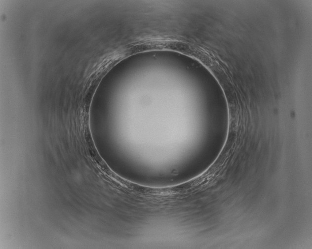 X0000075831157200609221633