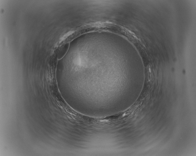 X0000075831158200609221633