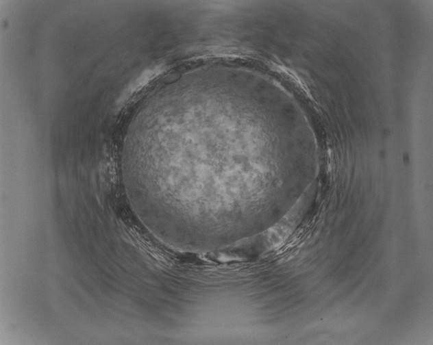 X0000075831159200609221633