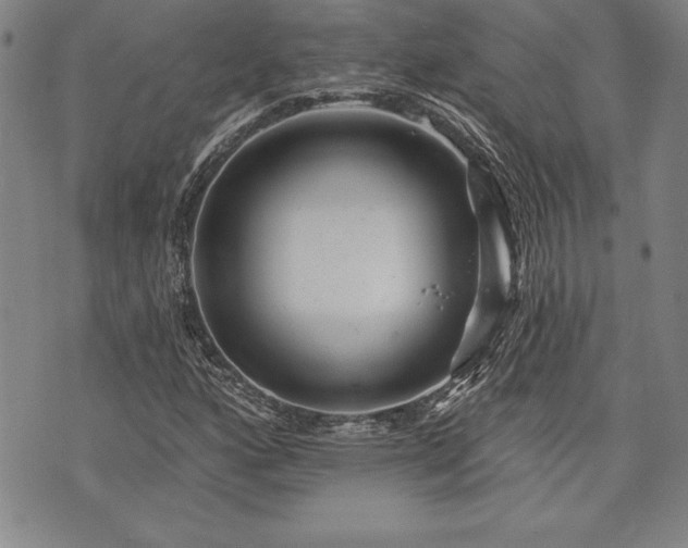 X0000075831160200609221633