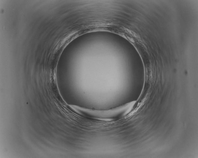 X0000075831161200609221633