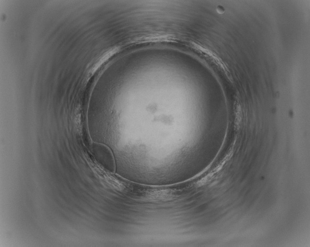 X0000075831162200609221633