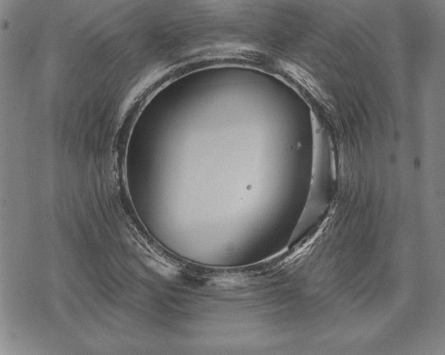 X0000075831164200609221632