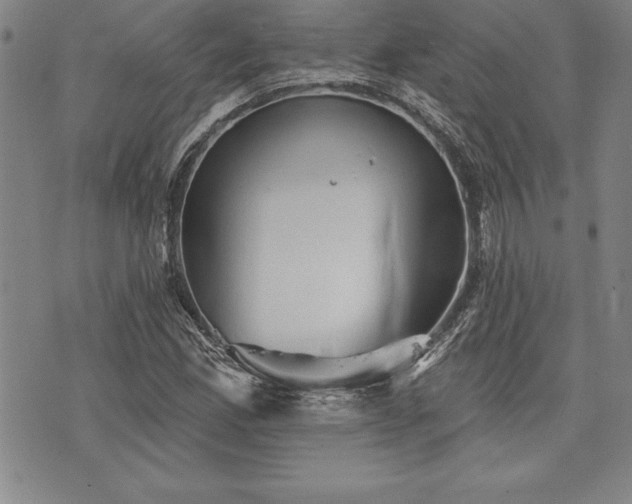 X0000075831165200609221632