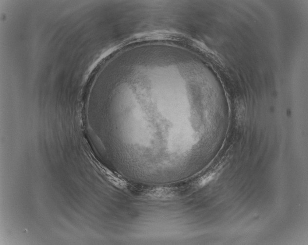 X0000075831166200609221632