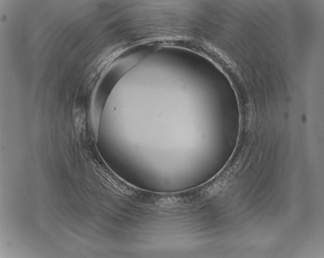 X0000075831169200609221632