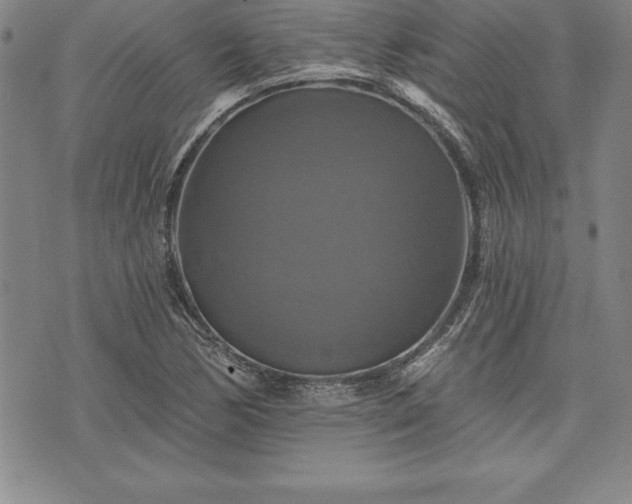 X0000075831170200609221632