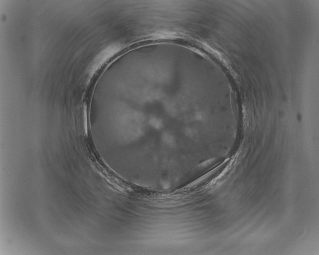 X0000075831171200609221632