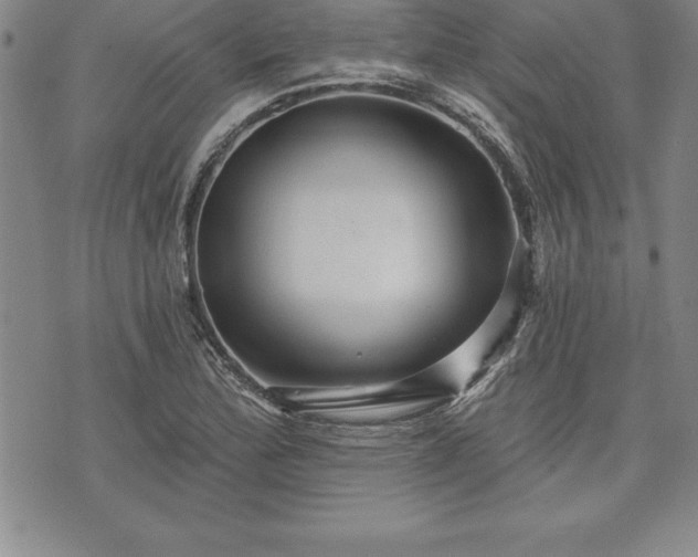 X0000075831172200609221632