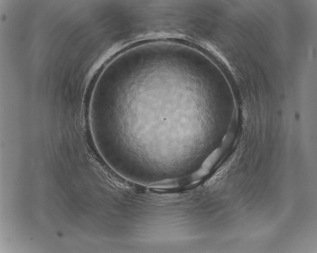 X0000075831173200609221632