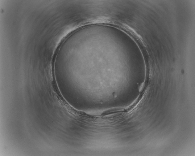 X0000075831174200609221632