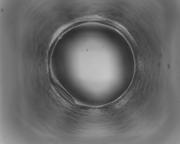 X0000075831176200609221632