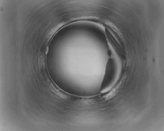 X0000075831177200609221632