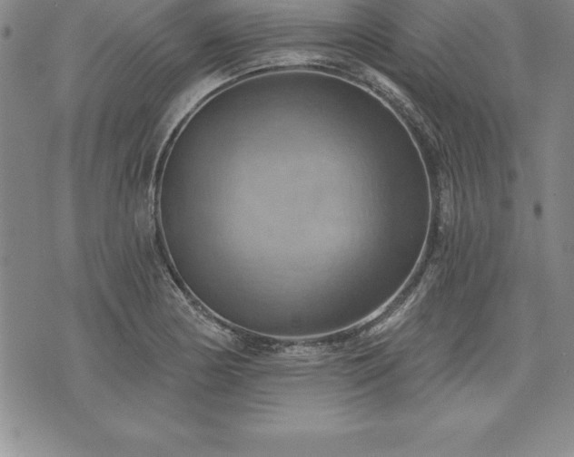 X0000075831178200609221632