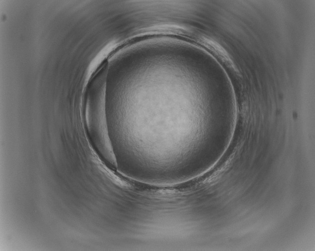 X0000075831180200609221632