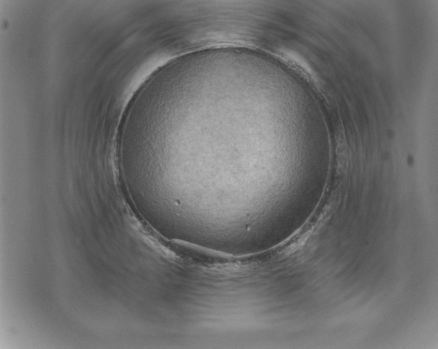 X0000075831182200609221632