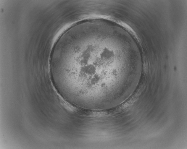 X0000075831183200609221632