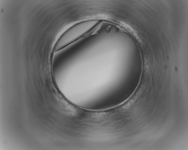 X0000075831184200609221632