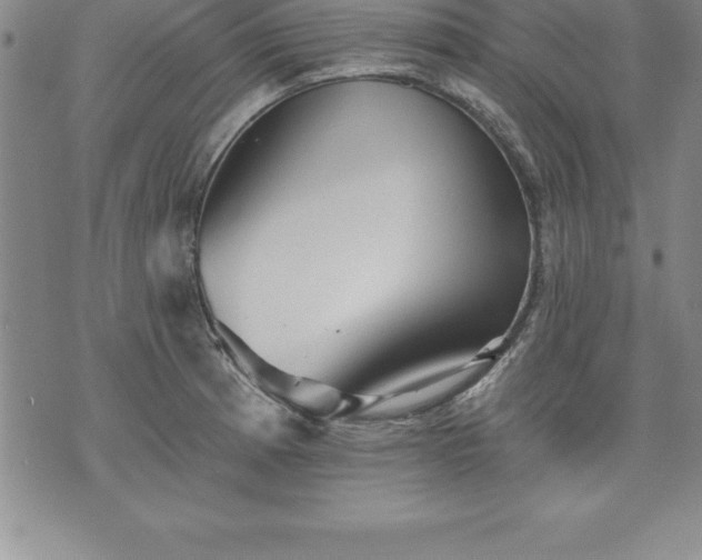 X0000075831185200609221632