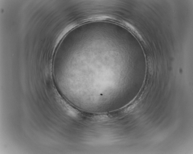 X0000075831186200609221632