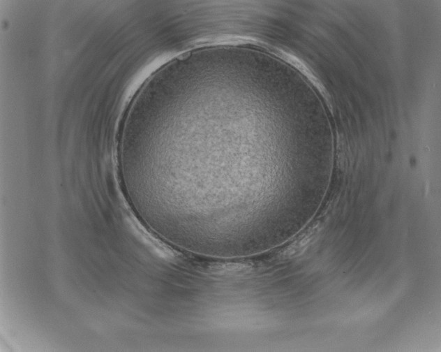 X0000075831187200609221632