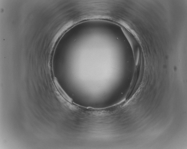 X0000075831189200609221632