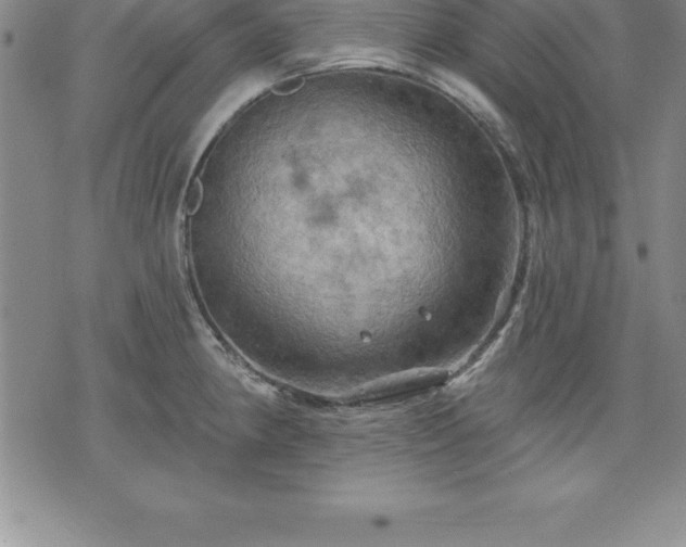 X0000075831190200609221632