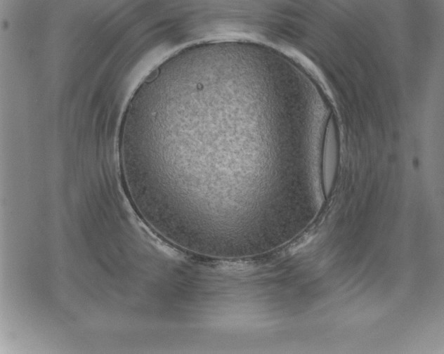 X0000075831191200609221632