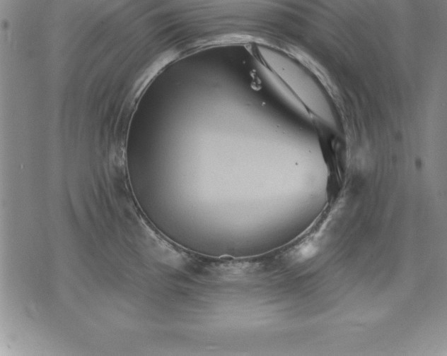 X0000075831193200609221632