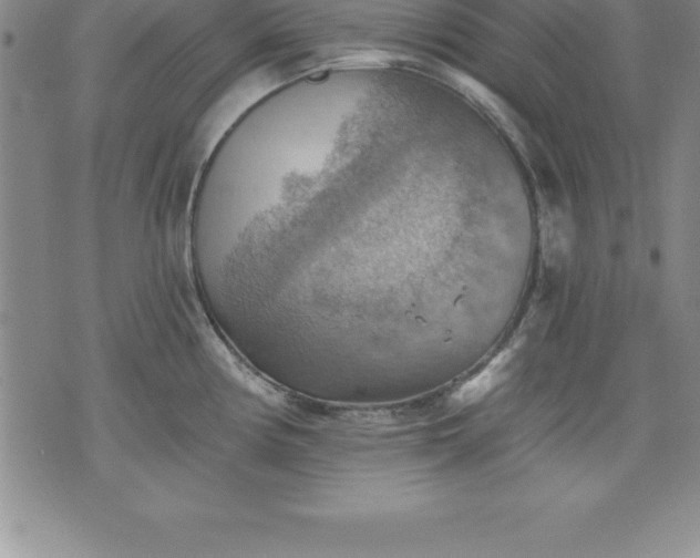 X0000075831194200609221632