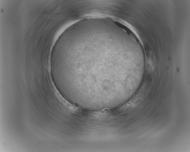 X0000075831195200609221632