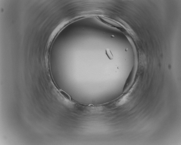 X0000075831196200609221632