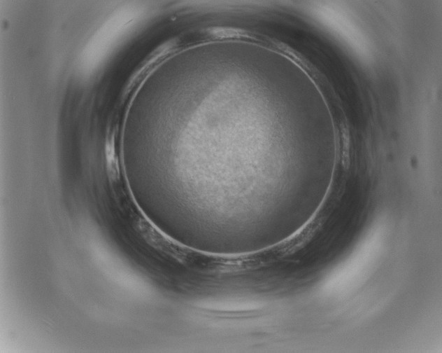 X0000075831198200609221632