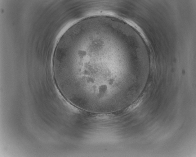 X0000075831199200609221632