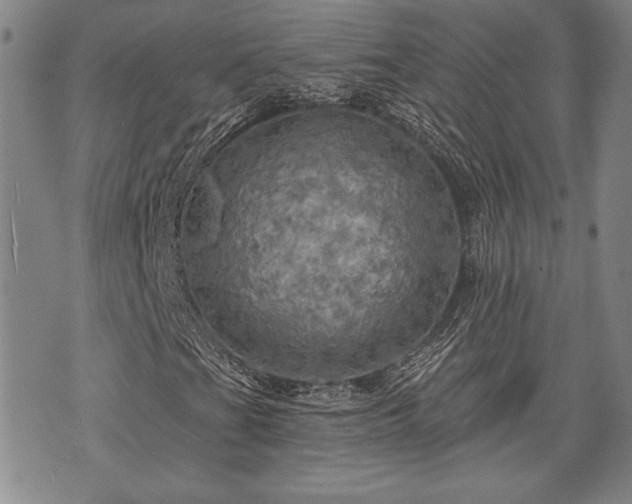 X0000075831201200609221631