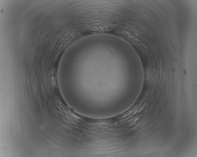 X0000075831202200609221631