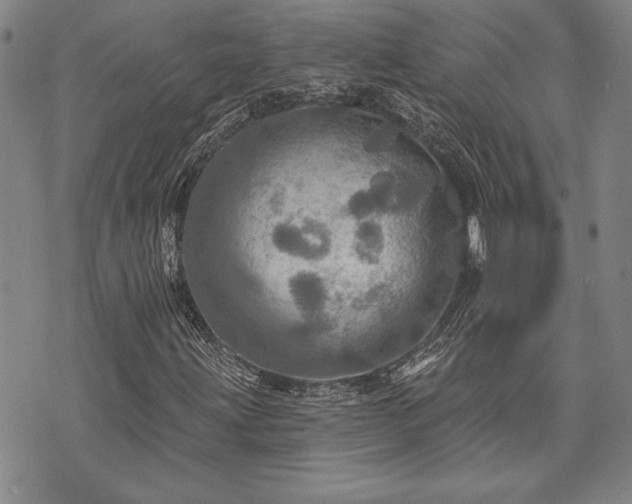 X0000075831203200609221631