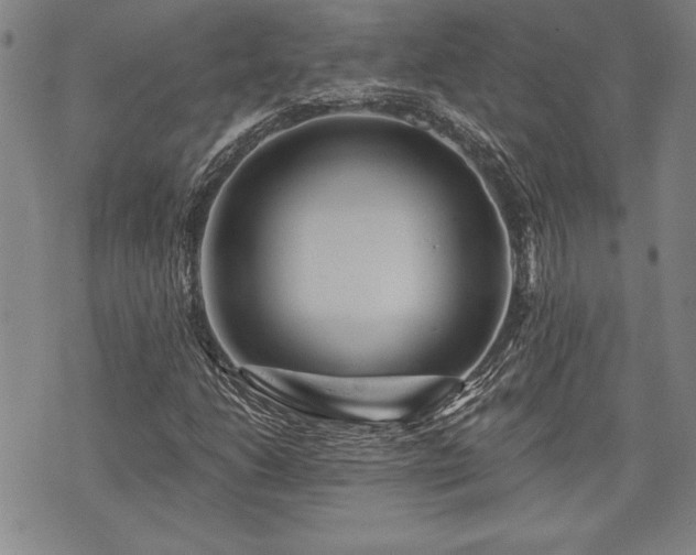 X0000075831206200609221631