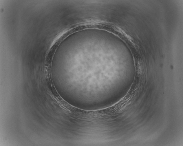 X0000075831208200609221631