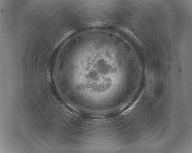 X0000075831209200609221631