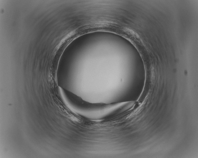 X0000075831210200609221631